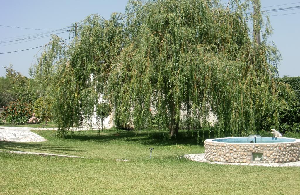 Quinta Da Harmonia Apartman Azeitao Kültér fotó