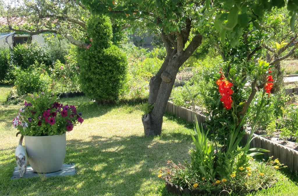 Quinta Da Harmonia Apartman Azeitao Kültér fotó